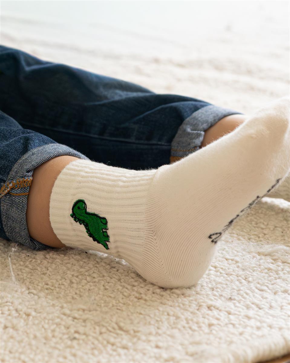 Dinosaur