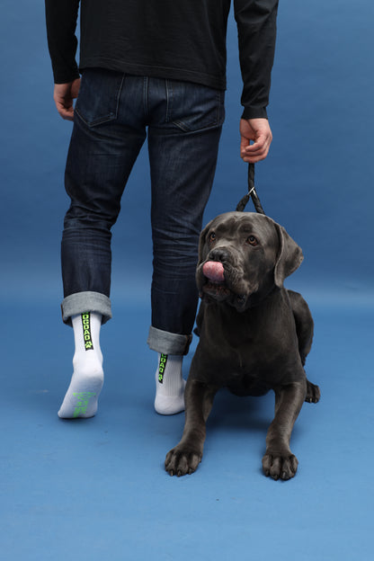 DOGDAD NEON YELLOW