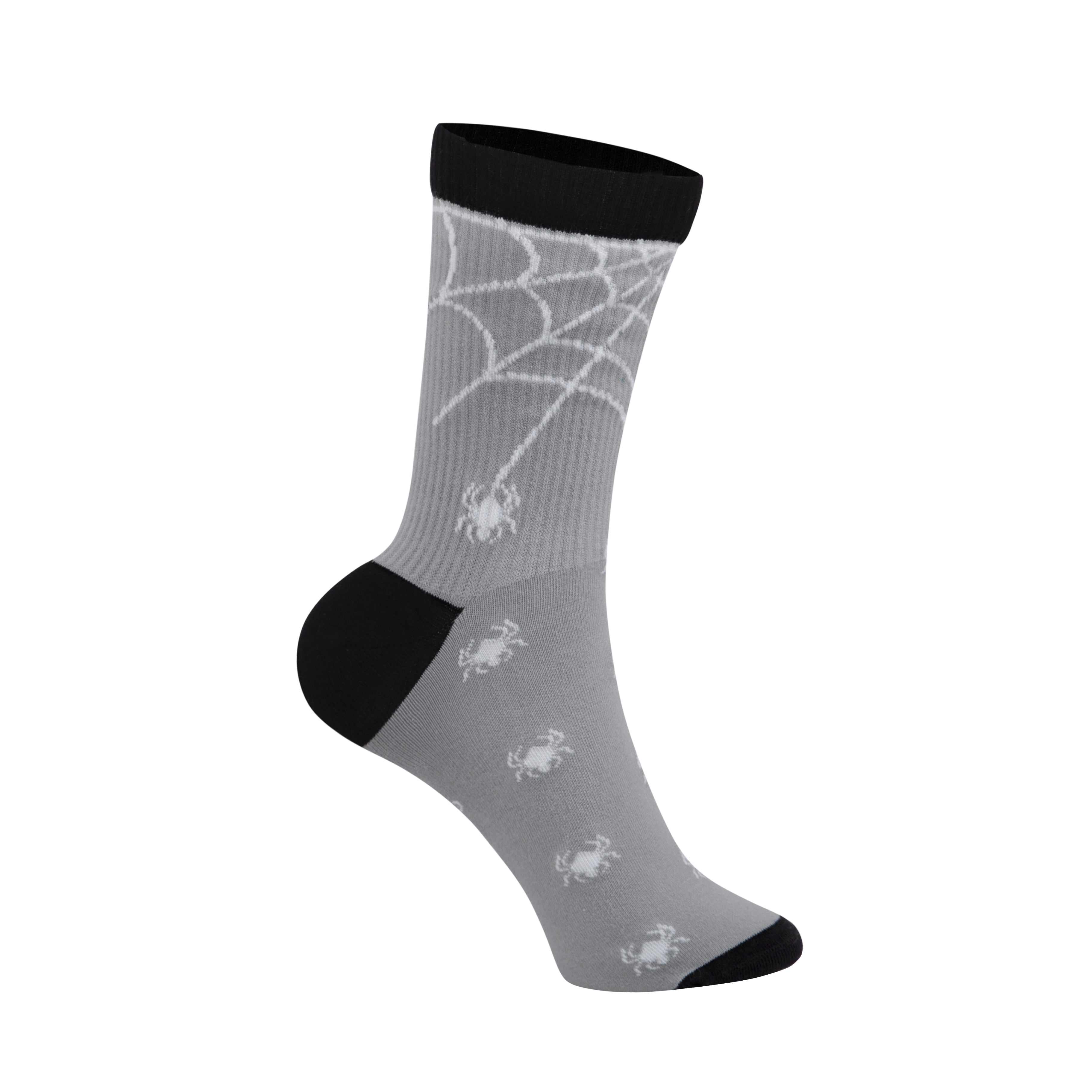 SPIDERS