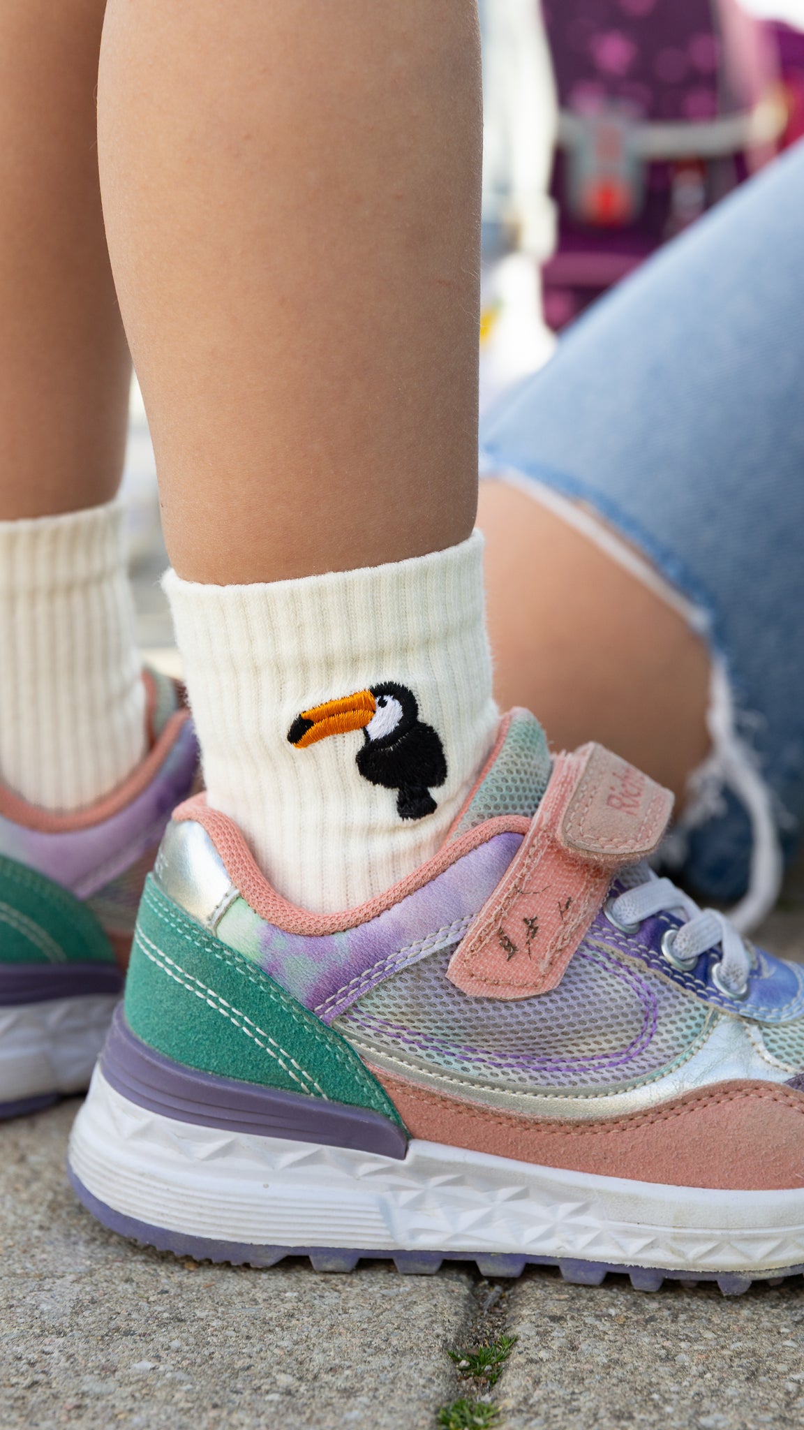 Toucan
