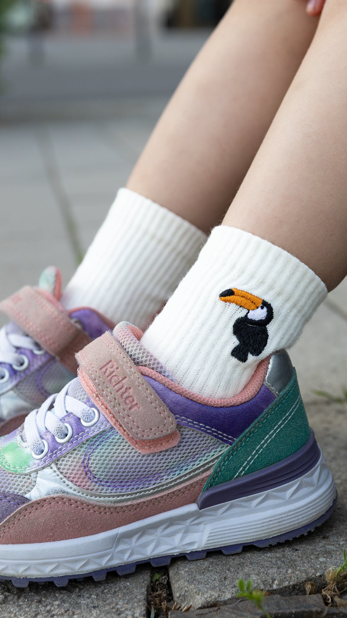 Toucan